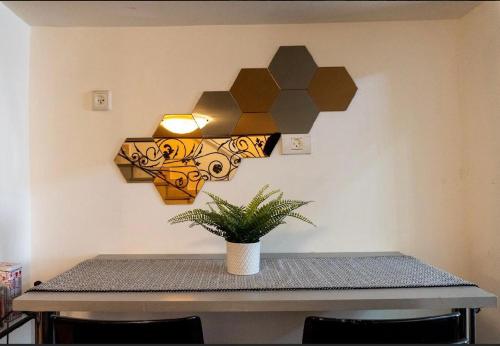 a table with a potted plant and a light on a wall at Ofek's place - NOGA in Tel Aviv