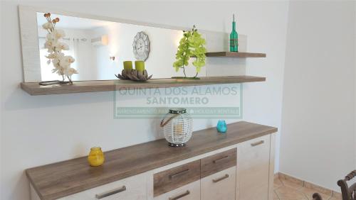 a shelf on a wall with some plants on it at Apartamento AH in Guia