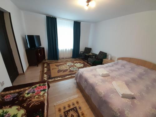 a bedroom with a bed and two chairs and a television at Casa Dumitru si Elena Ciocanesti Bucovina in Ciocăneşti