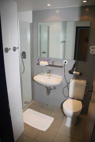 a bathroom with a toilet and a sink at Vorsfelder Hof in Wolfsburg