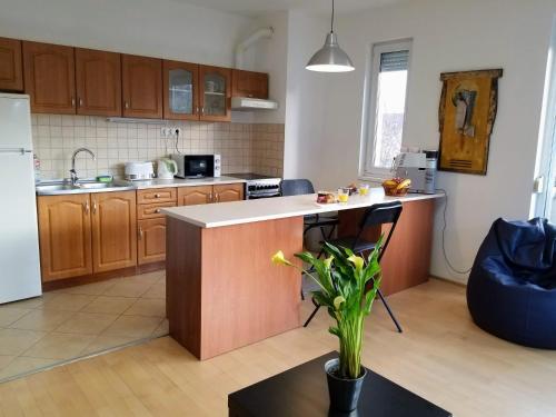 New Pest Apartman 1045 Budapest, Lebstück Mária utca 8 II.em 2 kép - 3