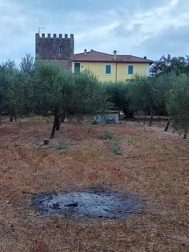 a house in the middle of a field with trees at La Torre di Barbara in Ardea