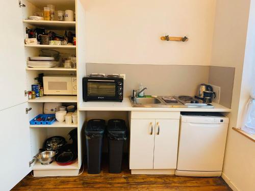 une petite cuisine avec un évier et un micro-ondes dans l'établissement Appartement T2 sur la place du marché de Wazemmes, à Lille