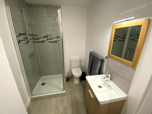 a bathroom with a shower and a sink and a toilet at Villa Raphaëlle #1 Centre ville avec parking in Le Havre