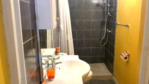 a bathroom with a shower and a toilet and a sink at Appartement charmant à Sainte-Marie, 55 m², piscine in Sainte-Marie