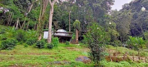 a house in the middle of a field with trees at เตนท์โดมชายดอย ดอยแม่แจ๋ม ลำปาง in Ban Mai