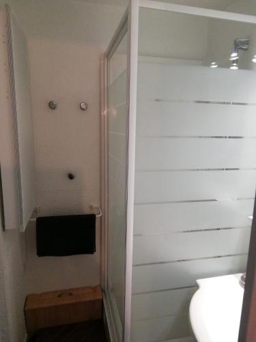 une salle de bain avec une douche avec des toilettes et un lavabo dans l'établissement La Plagne Les Coches studio divisible ensoleillé, à La Plagne Tarentaise