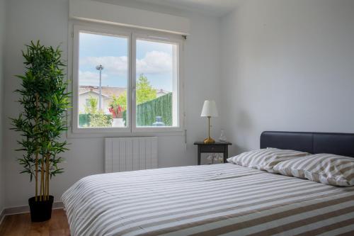 une chambre blanche avec un lit et une fenêtre dans l'établissement NOUVEAU ! LANTON PLAGE, 6 VOYAGEURS, à Lanton