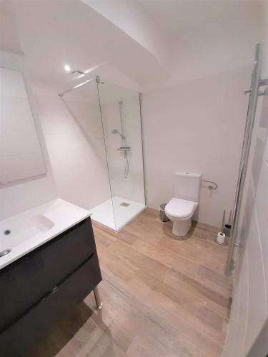 une salle de bain avec une douche, des toilettes et un lavabo dans l'établissement Camélia Plein Soleil Bord de Plage, à Coti-Chiavari