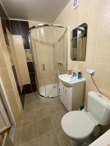 ein Bad mit einer Dusche, einem WC und einem Waschbecken in der Unterkunft Медові Карпати in Oryavchyk