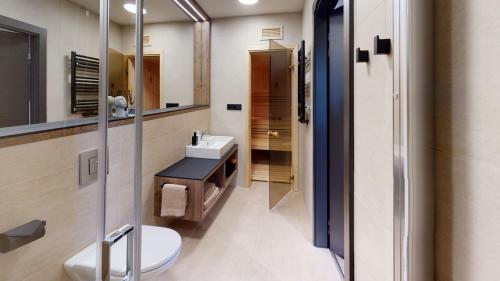 a bathroom with a toilet and a sink and a mirror at Lipno Port Apartment C204 - Lipno Home in Lipno nad Vltavou