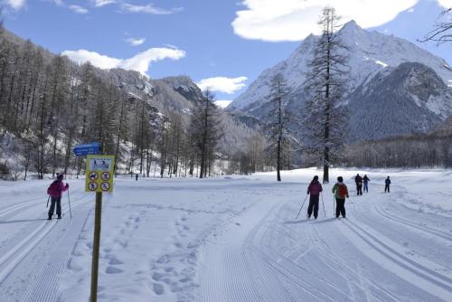 a group of people cross country skiing in the snow at Hôtel Dents de Veisivi in Haudères