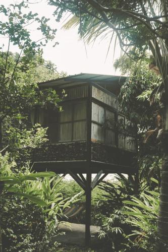 a tree house in the middle of a forest at La Bambouseraie in Balgue