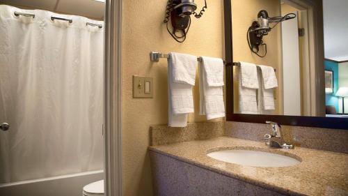 y baño con lavabo, espejo y ducha. en Best Western Fairwinds Inn, en Cullman