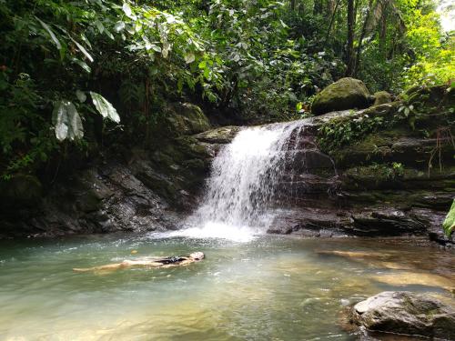 a person swimming in a stream in front of a waterfall at Finca Tres Equis - Farm and Forest in Tres Equis