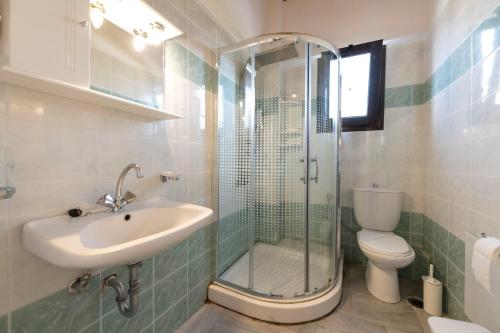 a bathroom with a shower and a sink and a toilet at Thermios Apollon in Thermo