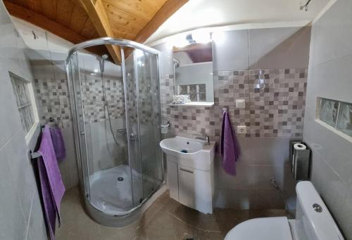 y baño con ducha, aseo y lavamanos. en Villa Alexandros, en Zóla