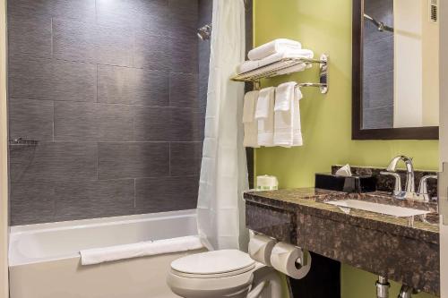 ein Bad mit einem WC, einer Dusche und einem Waschbecken in der Unterkunft Sleep Inn Center City in Philadelphia