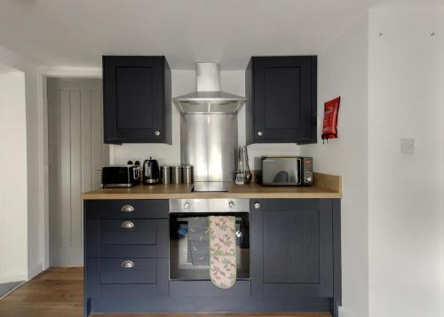 a kitchen with a counter with a stove top oven at Donington Cottage Apt 5 in Castle Donington