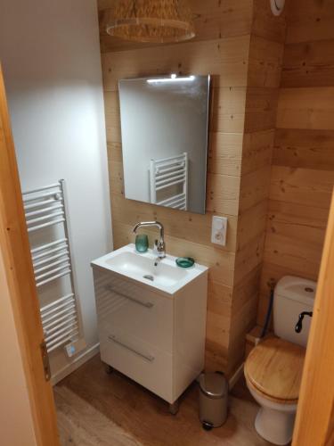 a bathroom with a sink and a toilet and a mirror at Appartement neuf 4-6 pers. aux pieds des pistes in Génos