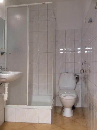 a bathroom with a toilet and a shower and a sink at Willa Adamów in Mielno