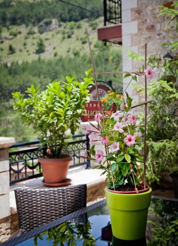 two potted plants are sitting on a balcony at Amanites Guesthouse in Dhimitsana