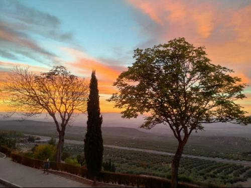 a person riding a bike near two trees at sunset at Elmiradordelasmurallas in Baeza
