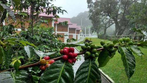 Finca Santa Rosa – Photos 4