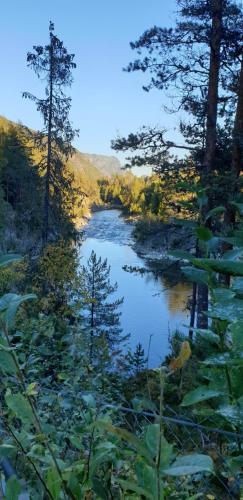 a river in the middle of a forest with trees at Studio 5 in Dalen
