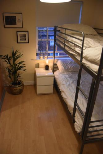 a bedroom with a bunk bed and a desk with a plant at Scandinavian City Centre Apartment in Worcester