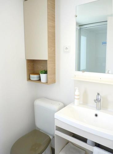 une salle de bain blanche avec des toilettes et un lavabo dans l'établissement Bungalow confort Gastes + Piscine, à Gastes