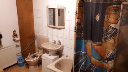 łazienka z umywalką, toaletą i zasłoną prysznicową w obiekcie Ferienwohnung Schlothauer 1 w mieście Ruhla