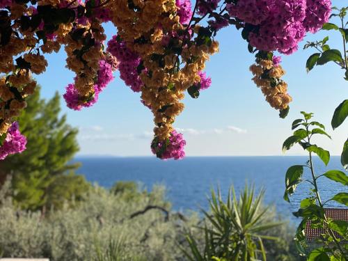 een uitzicht op de oceaan vanuit een bos bloemen bij Casa Fortuna in Sveta Nedelja