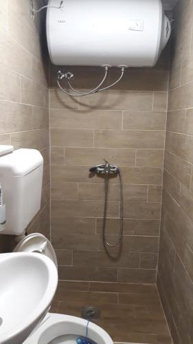 y baño con aseo y cabezal de ducha. en Katun Mokra en Podgorica