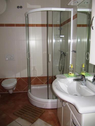 Bany a Apartment Vintgar