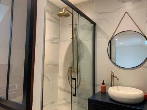 a bathroom with a shower with a sink and a mirror at Le studio d’Ambre in Chalon-sur-Saône