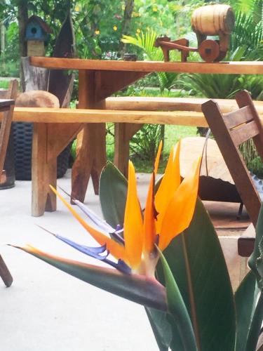 Un jardín fuera de Recanto Suíço