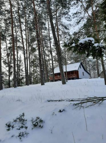 a cabin in the woods in the snow at Dwa Pomosty in Augustów