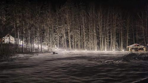 a night shot of a snow covered forest at night at Dwa Pomosty in Augustów