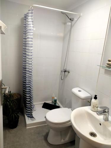 een badkamer met een toilet, een douche en een wastafel bij Cómodo estudio en el norte de Tenerife in Sauzal