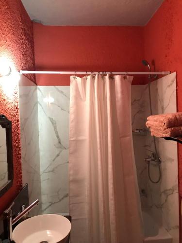 a bathroom with a shower curtain and a sink at Pocitos Private Room in Montevideo