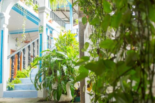 a staircase in a building with blue steps and plants at Hotel Rabin Itzam in Lanquín