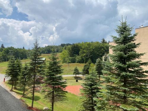 a group of trees on the side of a road at Ski-In Ski-out Luxury Condo with Hot Tub and pools in Snowshoe