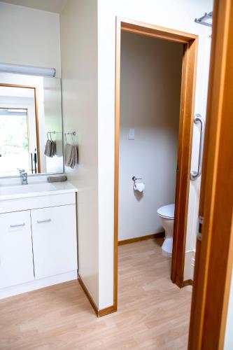a bathroom with a toilet and a sink and a mirror at ASURE Aspiring Court Motel in Haast