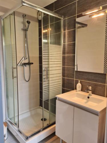 une salle de bain avec douche et lavabo dans l'établissement Le Petit Charmeur, parking, Wifi, gare, à Flers