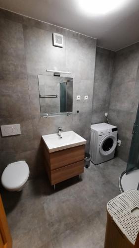 ein Badezimmer mit einem Waschbecken, einem WC und einem Spiegel in der Unterkunft Holiday Apartment Bolfenk in Hočko Pohorje