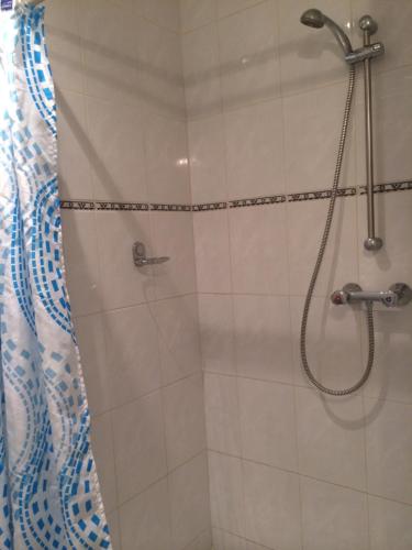 a shower with a shower curtain in a bathroom at Hotel de Blauwe Vogel in Bergen op Zoom