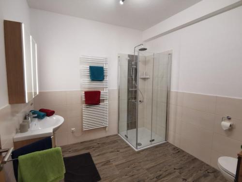 a bathroom with a shower and a sink at Brücklerhof in Haus im Ennstal