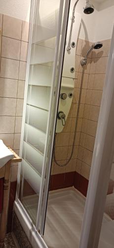 une douche avec une porte vitrée dans une salle de bain dans l'établissement studio résidence la Mauselaine la perle des Vosges, à Gérardmer