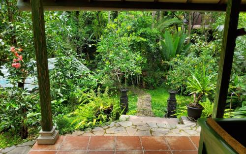 an outside view of a garden with plants at Mi Casa - The gem of Ijen in Banyuwangi